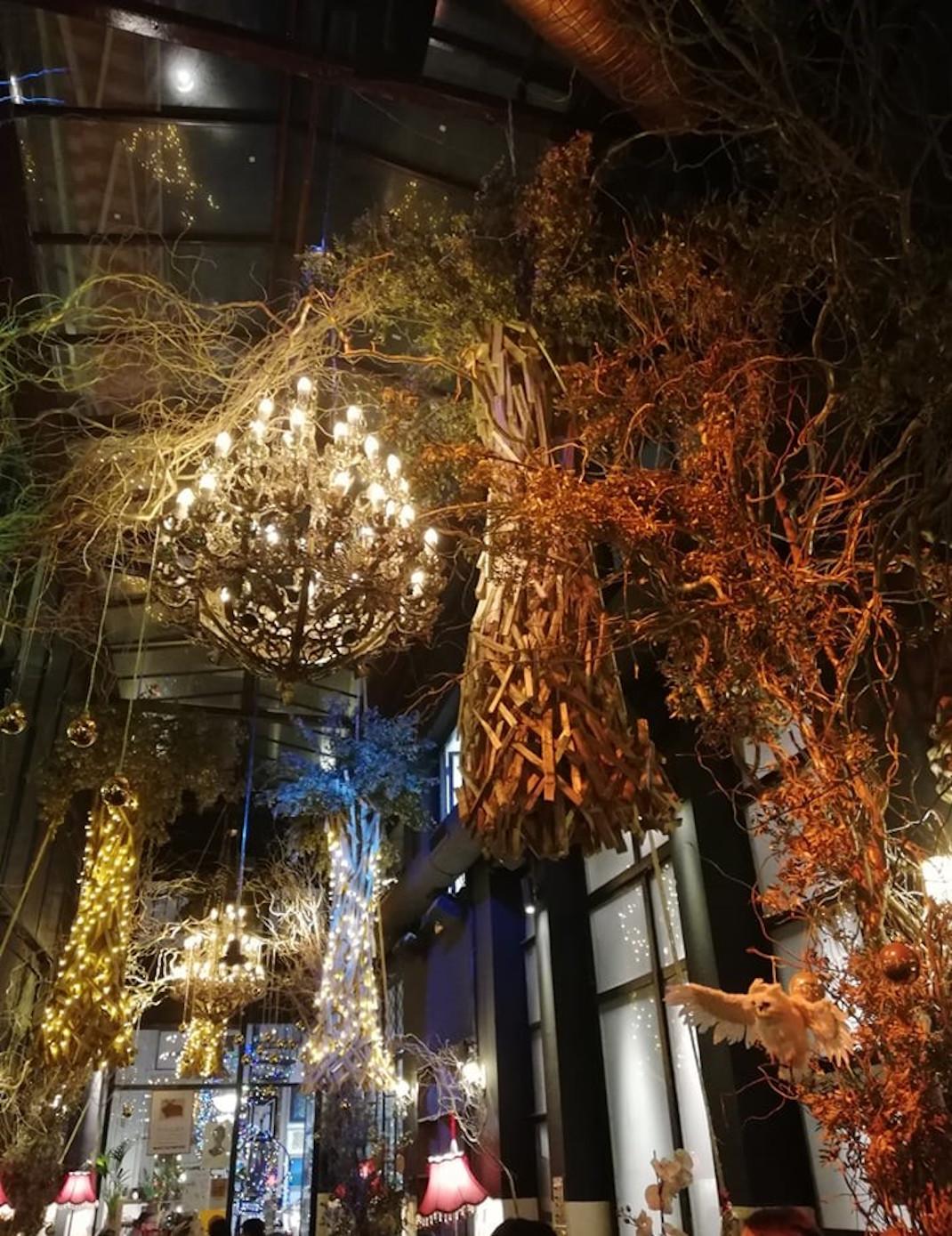 Η WATT+VOLT φωτίζει το μαγεμένο δάσος του Noel