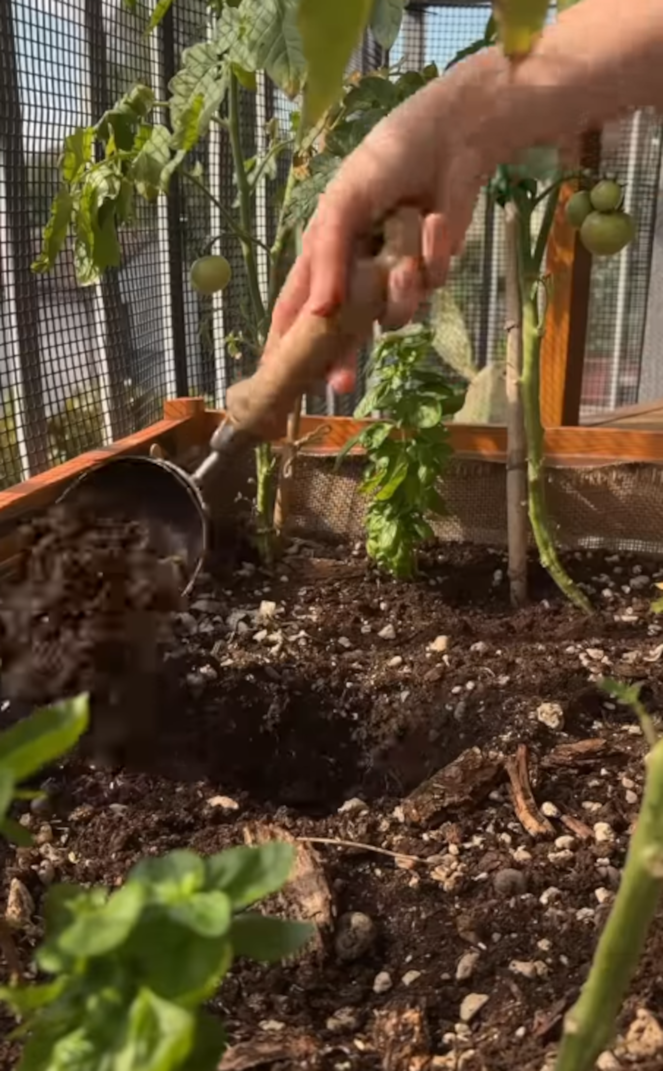 Την θάβετε στο χώμα/@﻿rebygreenthumb 