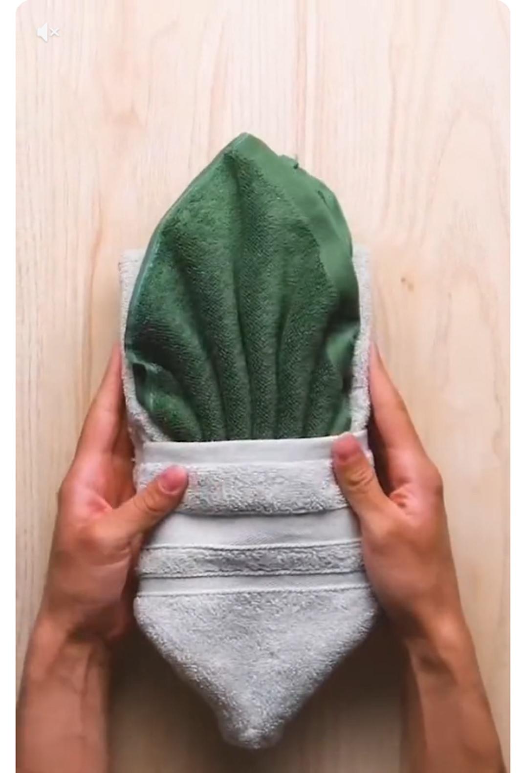 Δίπλωμα πετσέτας/Φωτογραφία TikTok 