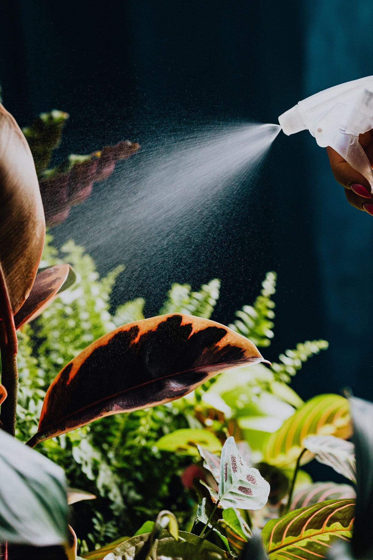 Φωτογραφία: Pexels