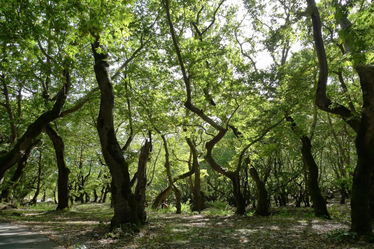Φωτογραφία: Shutterstock