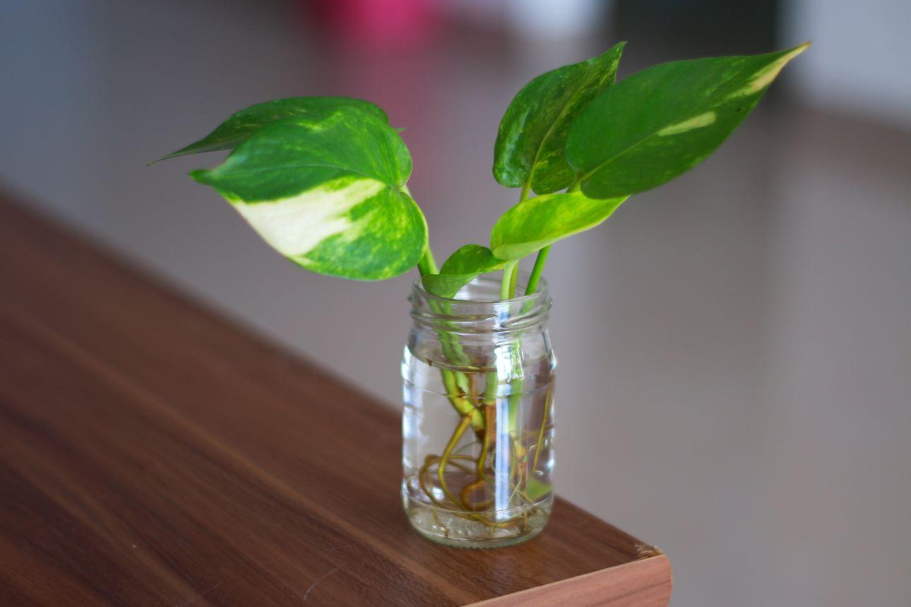  Πόθος/ Φωτογραφία: Shutterstock 