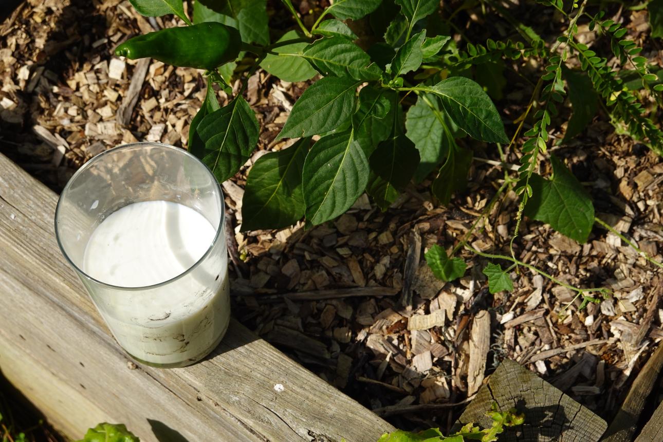 Φωτογραφία: Shutterstock