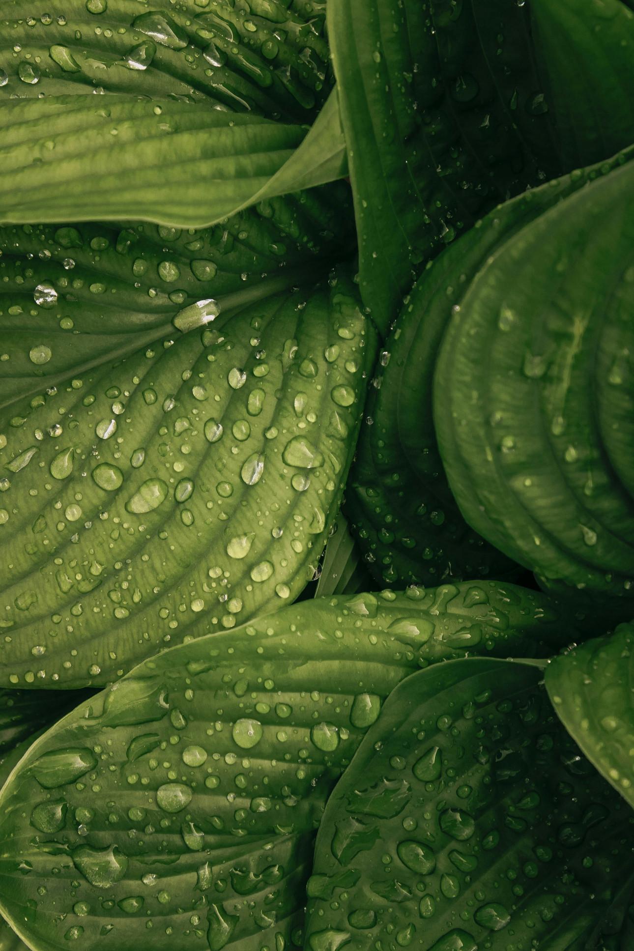Φωτογραφία: Unsplash