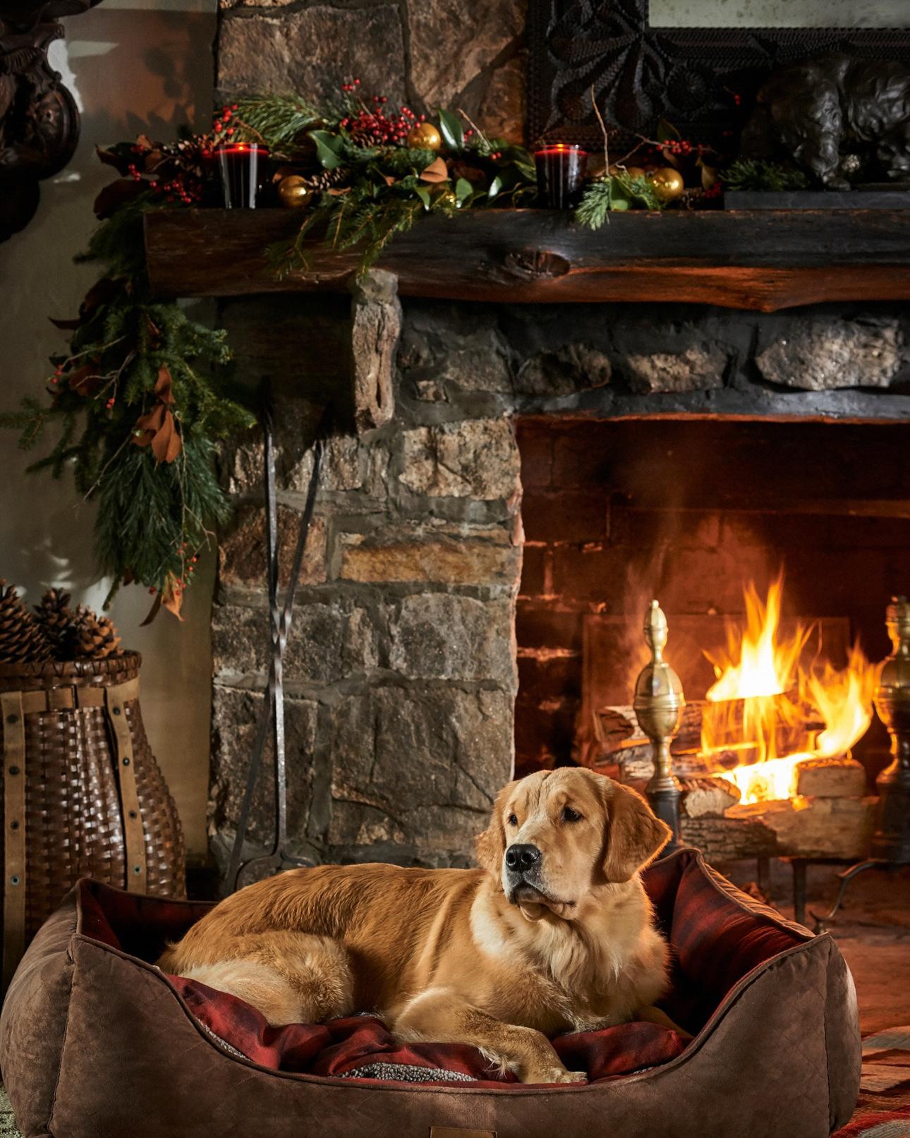  Φωτογραφία: Instagram/﻿@ralphlaurenhome 