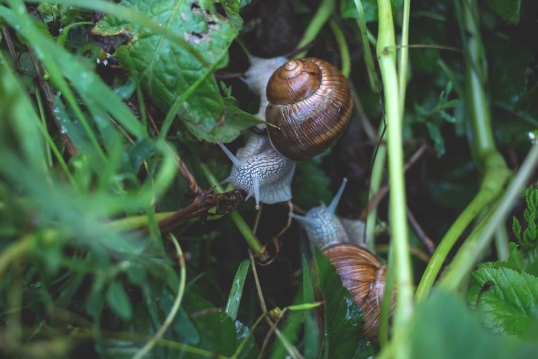 Φωτογραφία: Unsplash