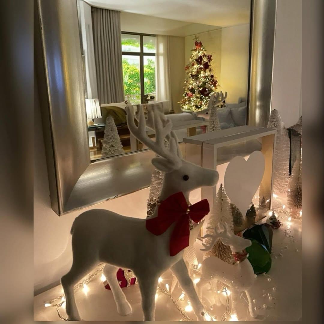 Φωτογραφία Instagram/Roula Koromila