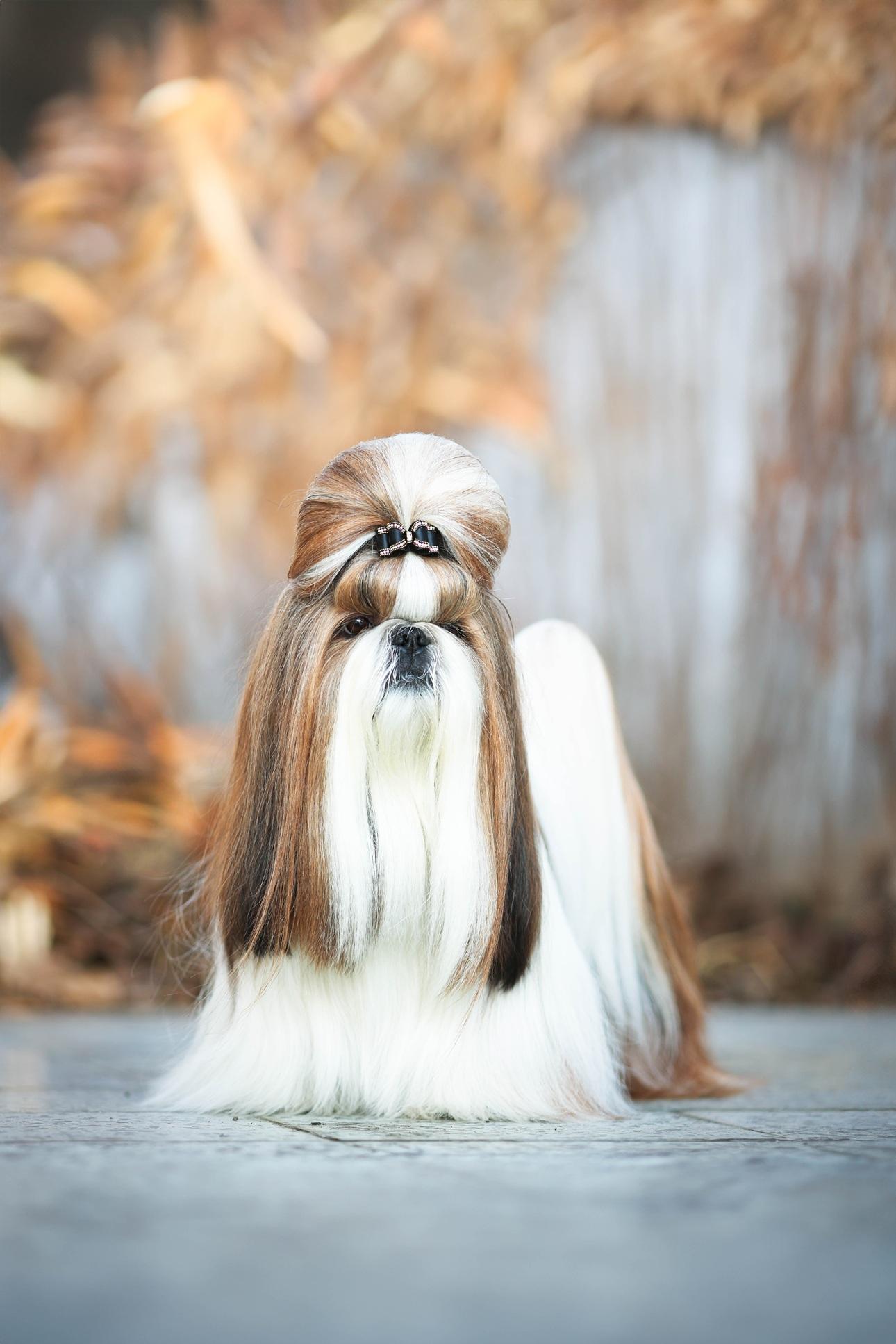  Φωτογραφία: Shutterstock 