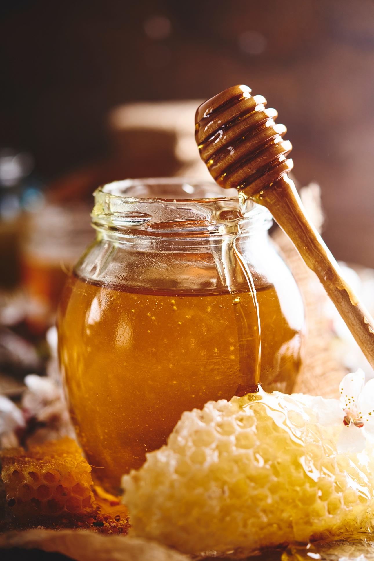Φωτογραφία: Pexels
