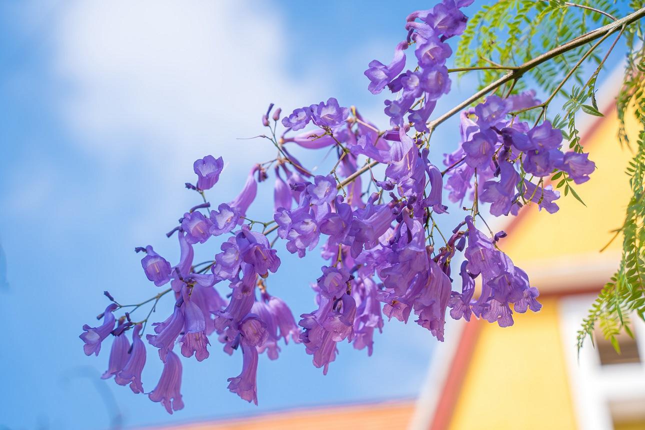  Φωτογραφία : shutterstock 