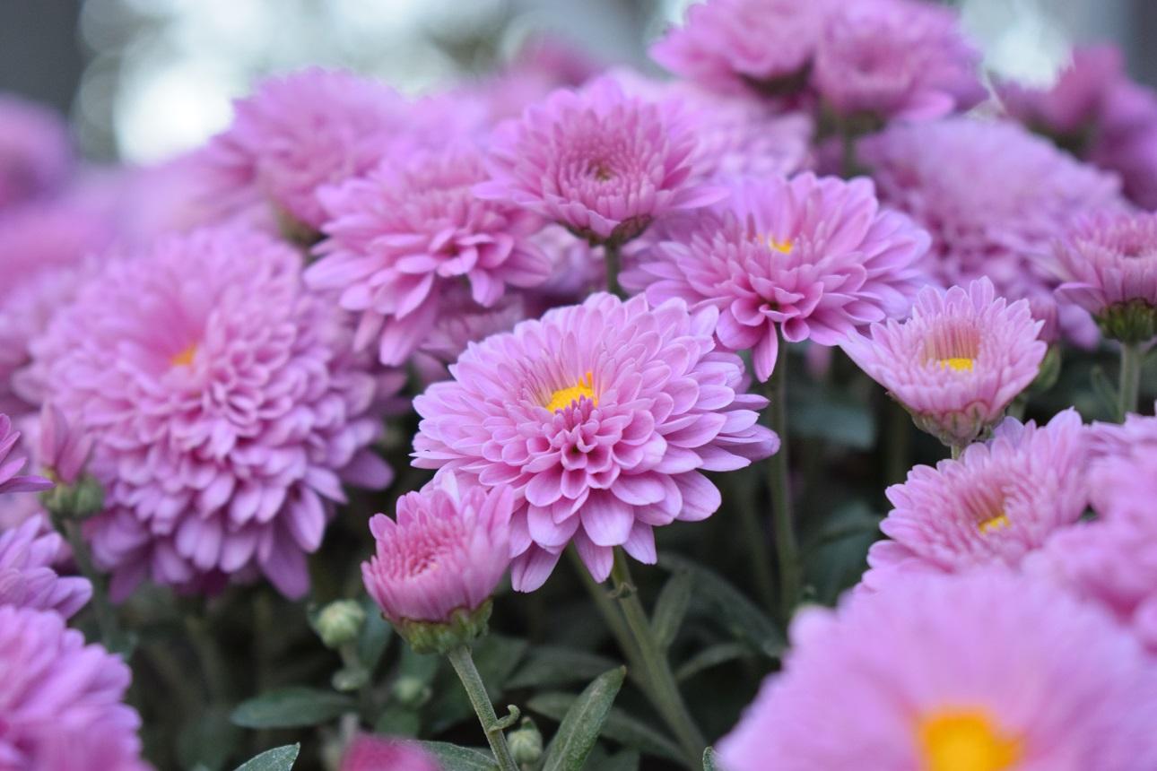 Φωτογραφία: shutterstock