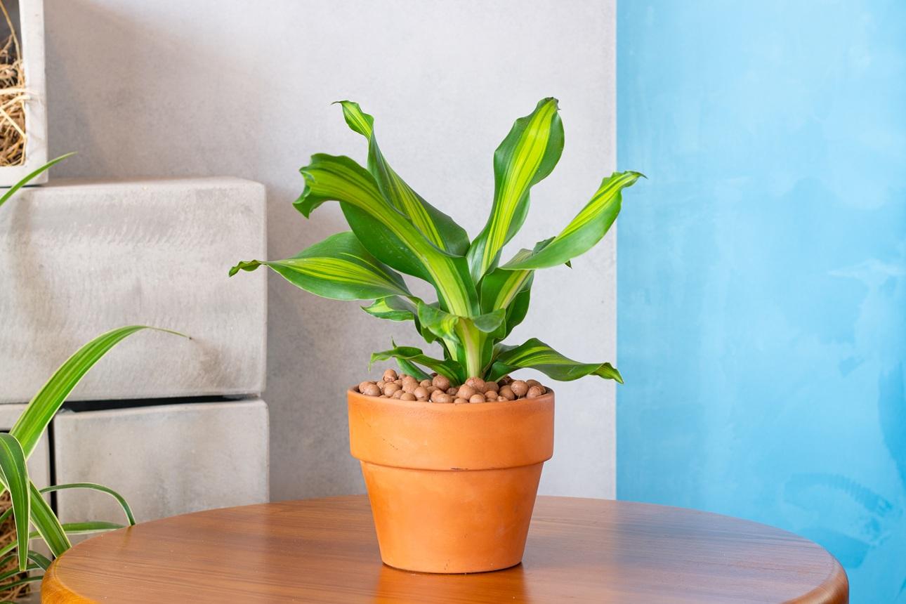  Φωτογραφία: Shutterstock  