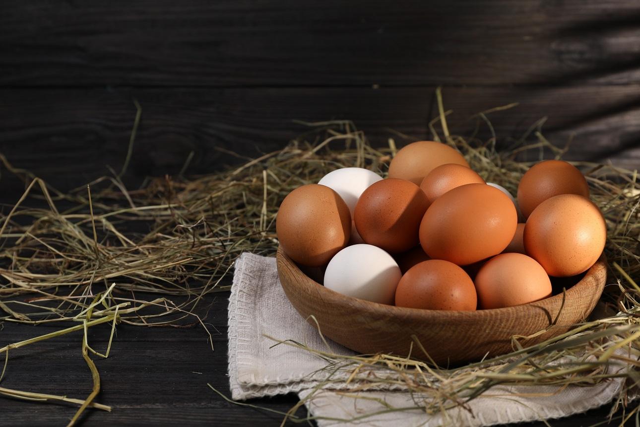 Φωτογραφία: shutterstock