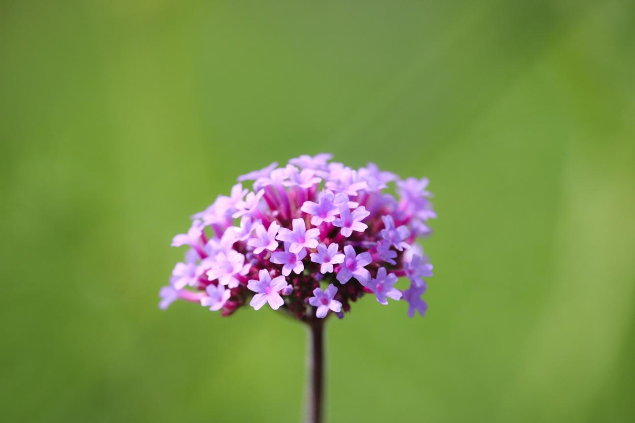  Φωτογραφία: Shutterstock 