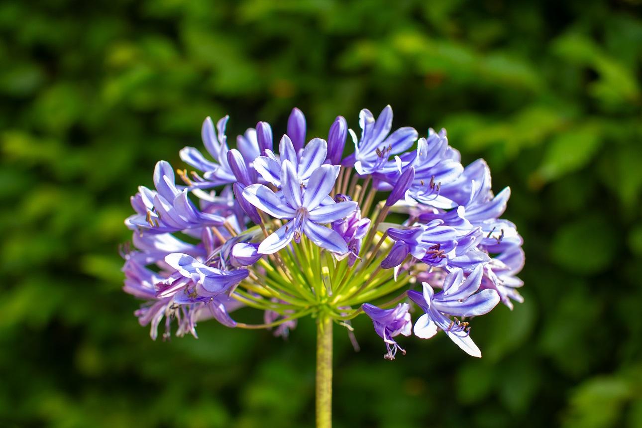 Φωτογραφία: shutterstock