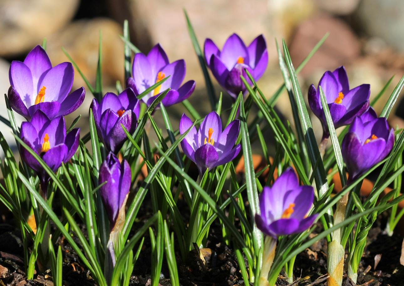  Φωτογραφία: Shutterstock 