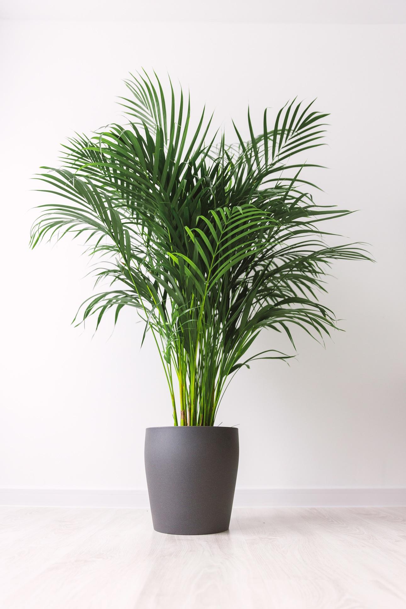 Φωτογραφία: Shutterstock  