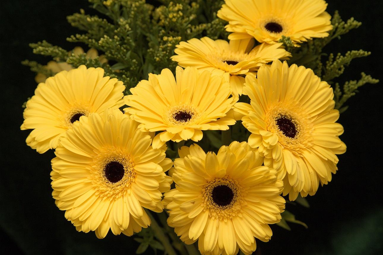 Φωτογραφία: shutterstock