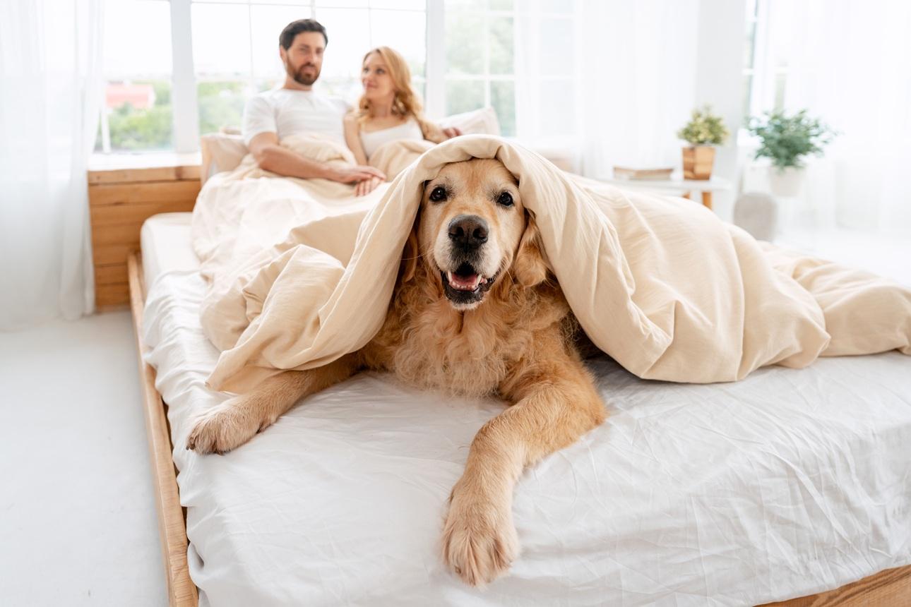 Φωτογραφία: Shutterstock