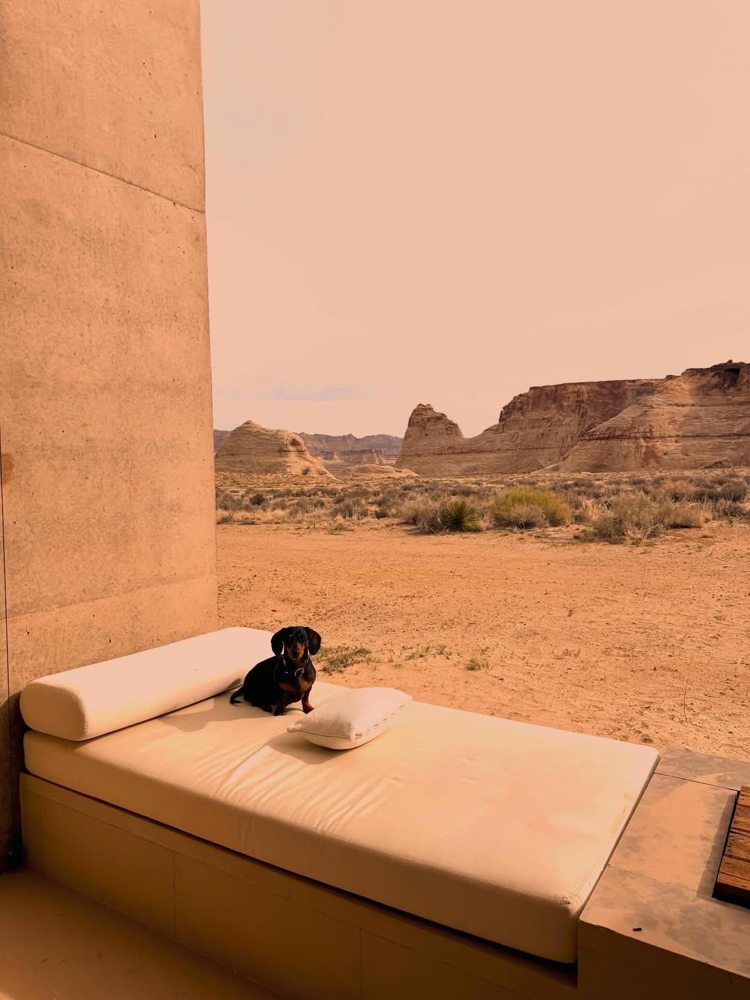 Φωτογραφία Instagram/@mariechantal22