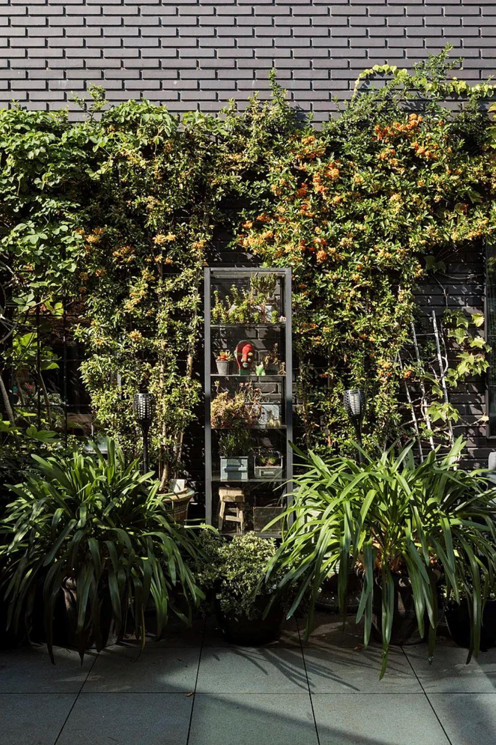 Εντυπωσιακή η βλάστηση στη βεράντα του σπιτιού/ Φωτογραφία: Instagram/ @saraleonorstudio