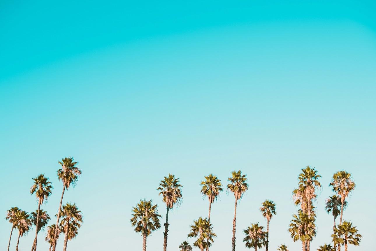 Unsplash