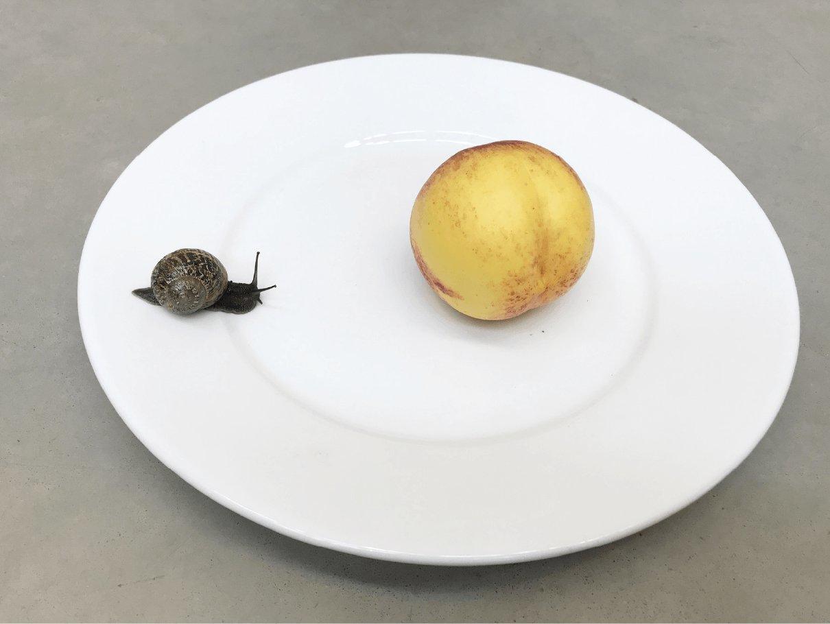 Leg, snails and peaches No.43, London 2017/ Φωτογραφία: Juergen Teller, παραχώρηση του καλλιτέχνη