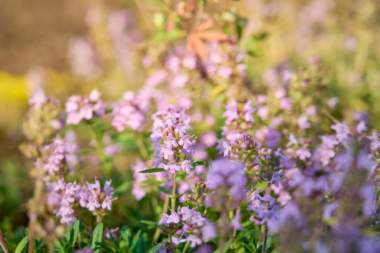 Φωτογραφία: Shutterstock