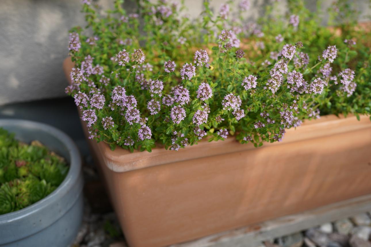 Φωτογραφία: Shutterstock