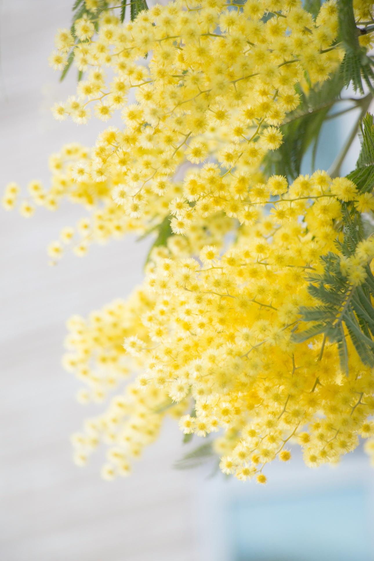 Φωτογραφία: Unsplash