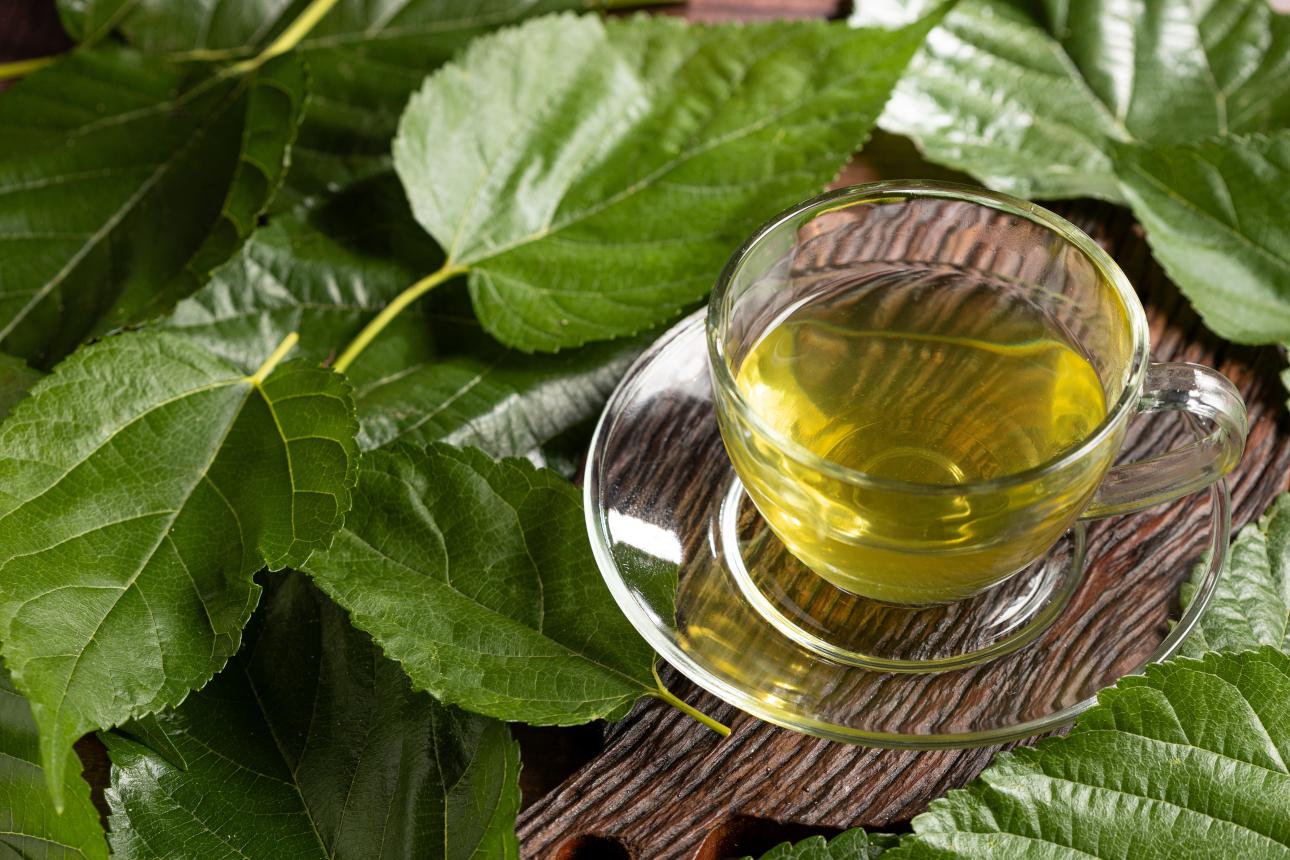 Τσάι μουριάς/Φωτογραφία: Shutterstock