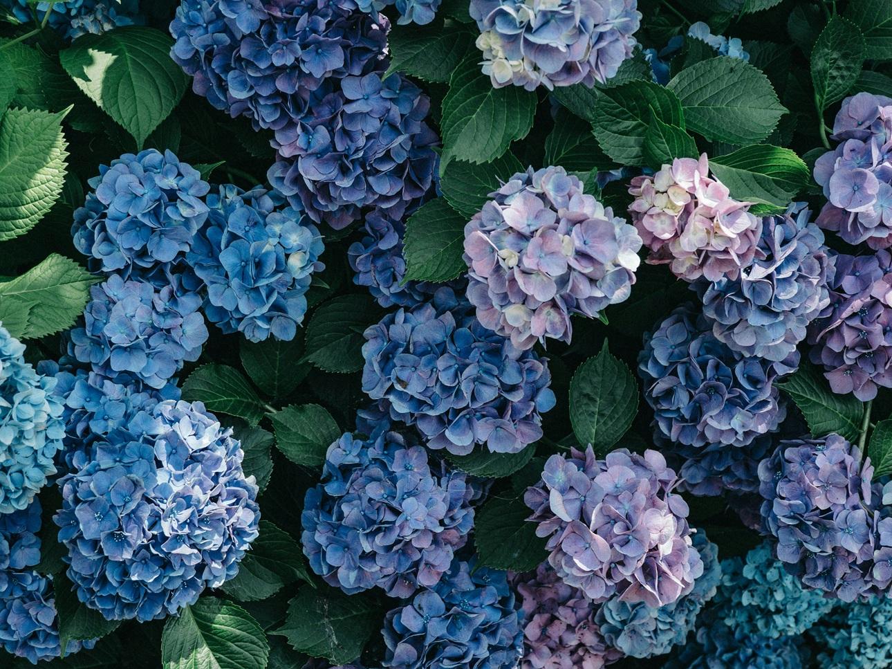  Φωτογραφία: Unsplash 