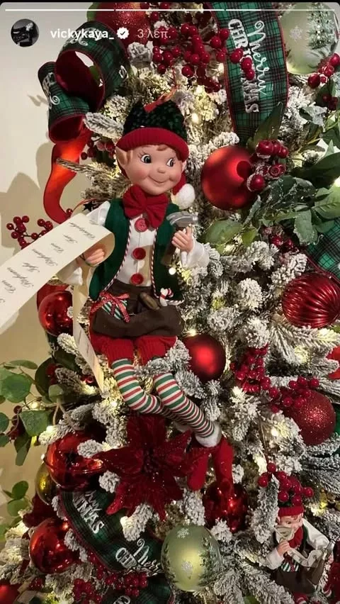 Λεπτομέρεια από τον στολισμό του δέντρου/ @vickykaya_