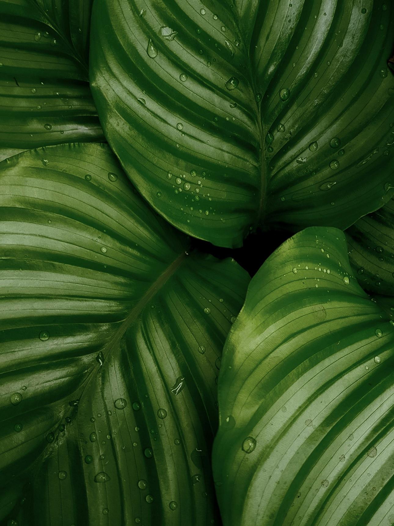Φωτογραφία Unsplash 