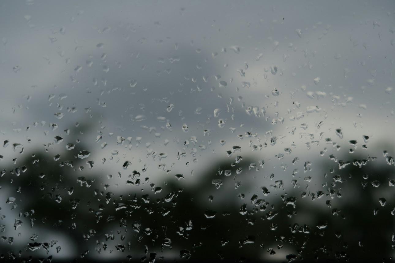 Φωτογραφία Unsplash 