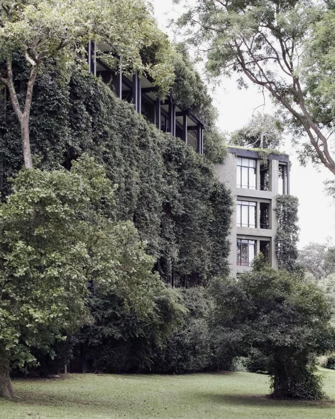 Το ξενοδοχείο Kandalama στην Dambulla της Σρι Λάνκα, έργο του Geoffrey Bawa (1992)/ Φωτογραφία: Instagram/ @atlas_of_atmosphere