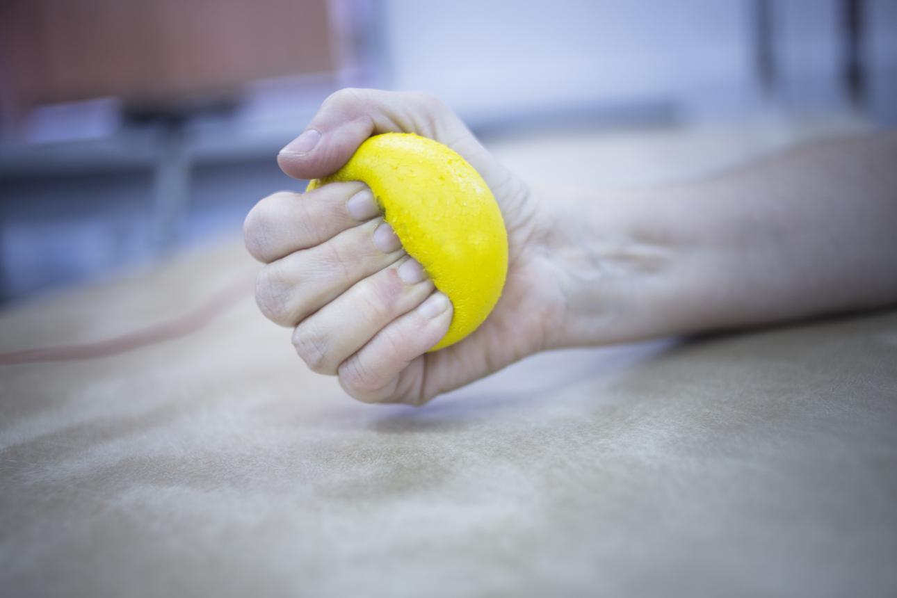  Φωτογραφία: Shutterstock 