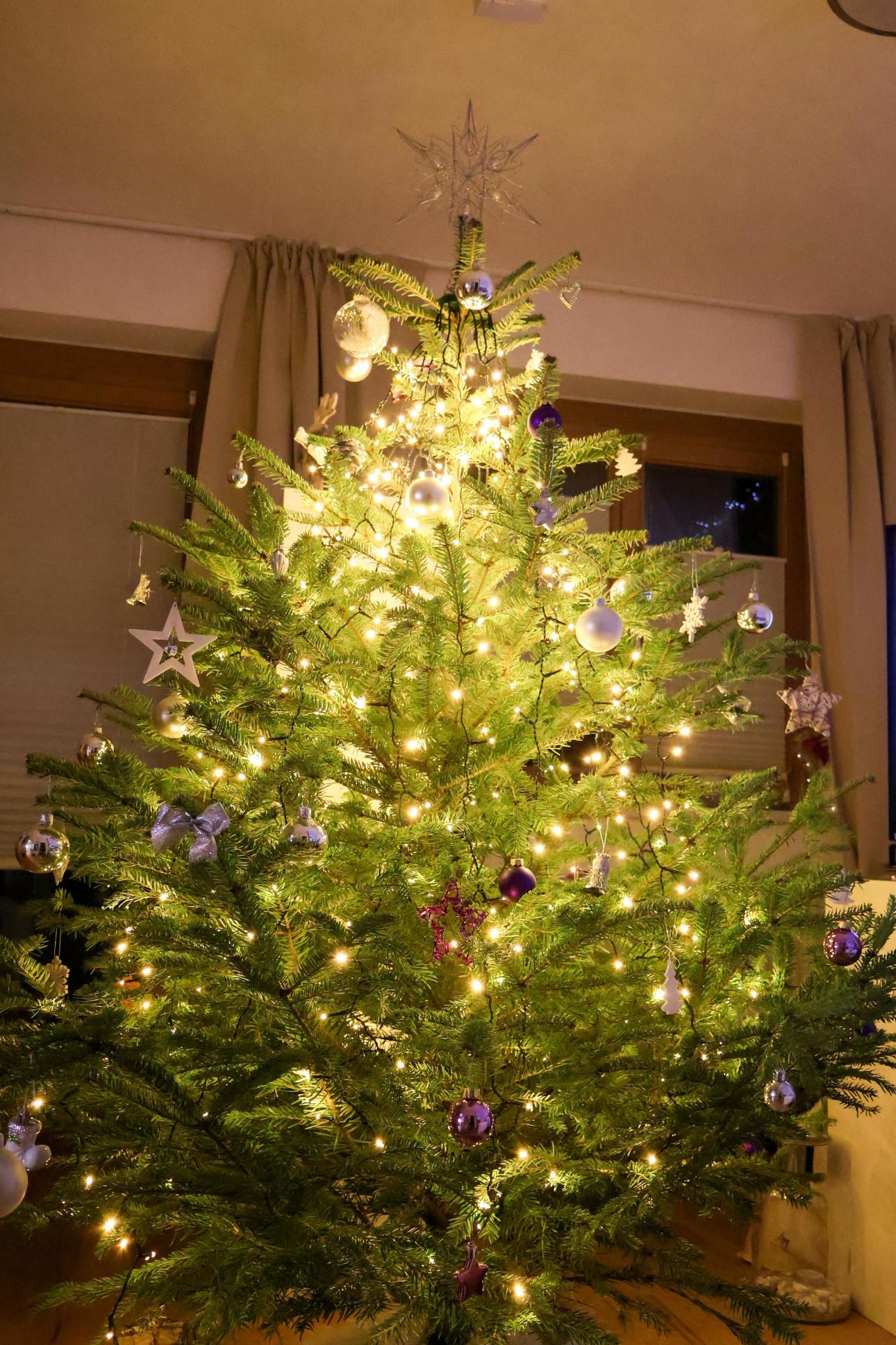 Φωτογραφία: Pexels