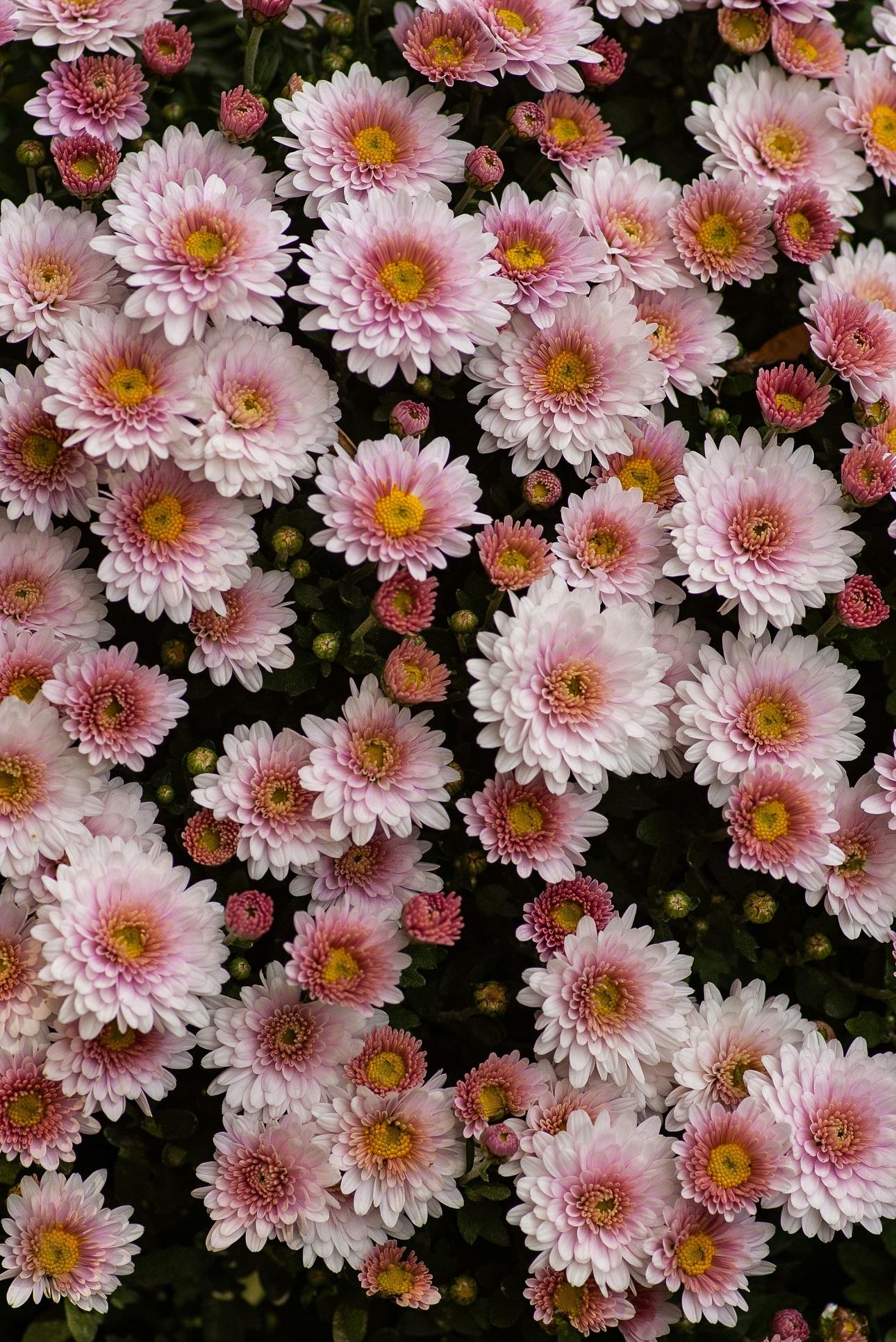 Φωτογραφία:unsplash