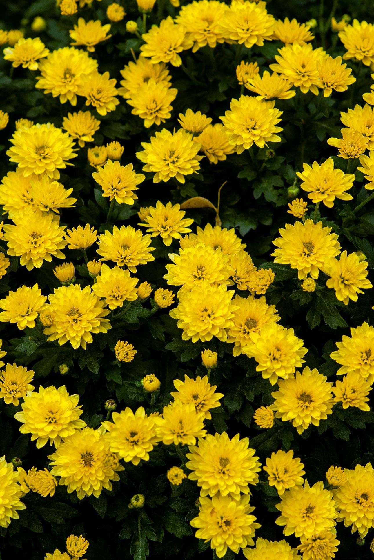 Φωτογραφία:unsplash