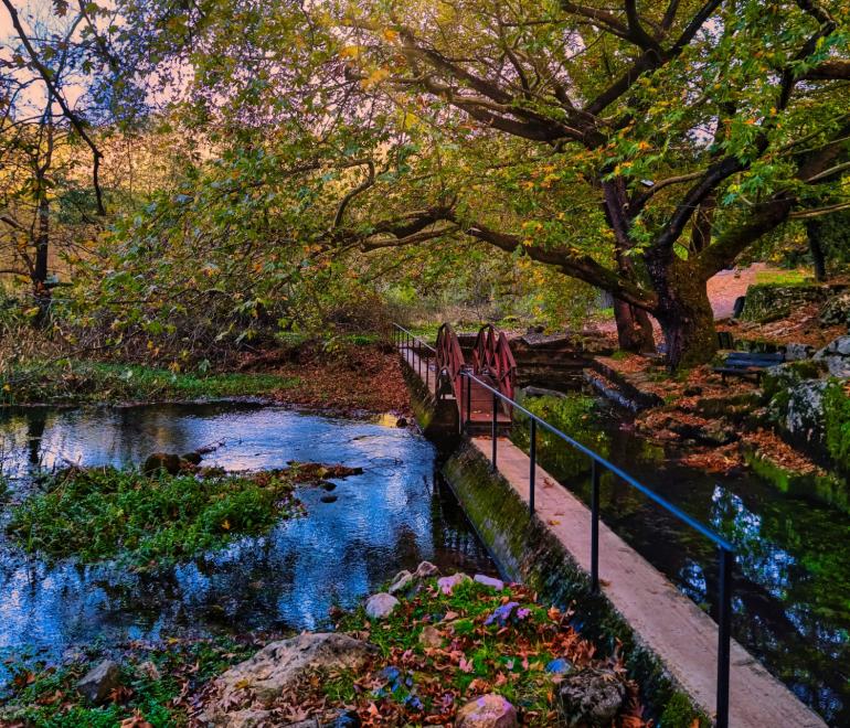 Πολύδροσος: Το χωριό στους πρόποδες του Παρνασσού για τη χριστουγεννιάτικη μονοήμερη της τελευταίας στιγμής