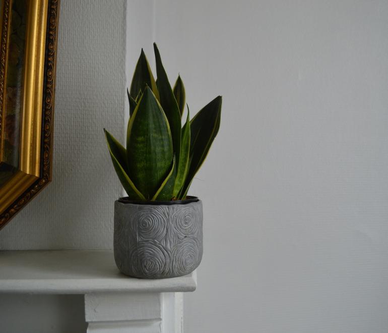 Φωτογραφία Unsplash 