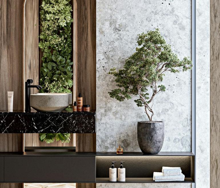 Φυτά στο μπάνιο