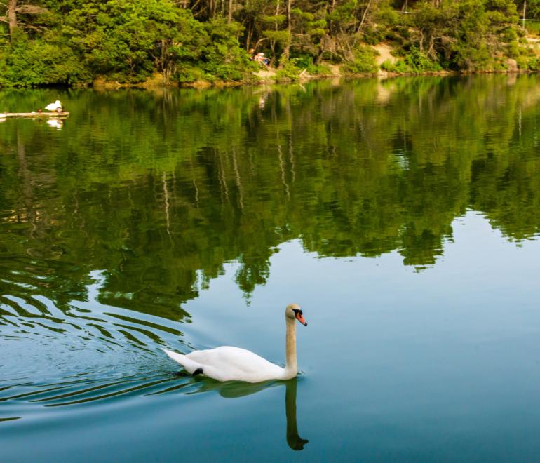 Πρωτομαγιά: 4 κοντινές αποδράσεις από την Αθήνα για βόλτα και φαγητό
