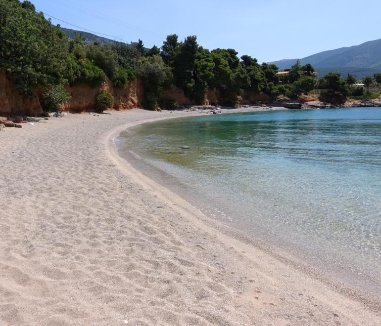 Φωτογραφία: Shutterstock