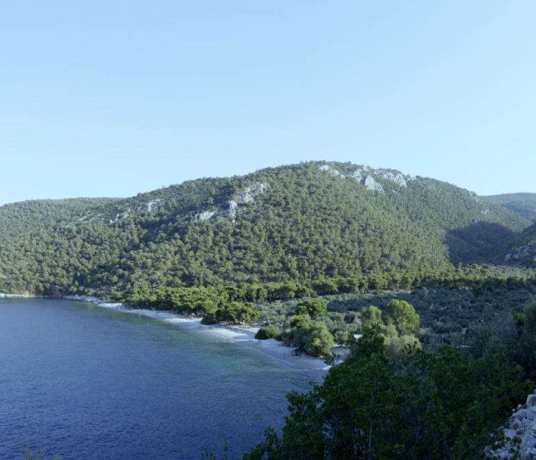Φωτογραφία: Shutterstock