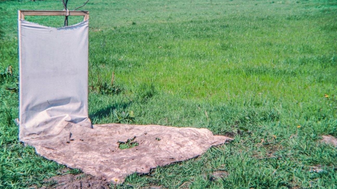 Τρεις νέες εκθέσεις στο ΕΜΣΤ: Στάθης Λογοθέτης, Γιάννης Χρήστου, Νίκη Καναγκίνη