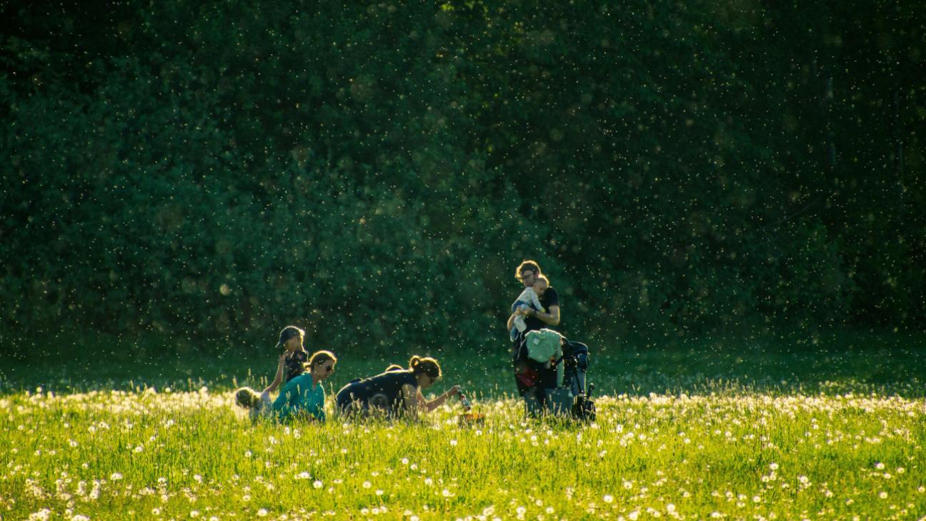 Η άνοιξη φέρνει μεγάλες αλλαγές σε τρία ζώδια