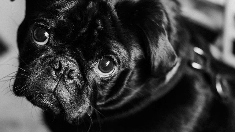 Φωτογραφία: unsplash/@priscilladupreez