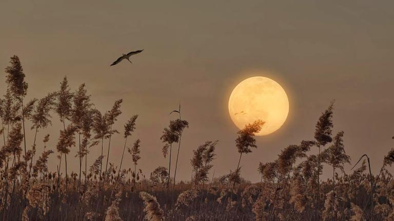 Φωτογραφία: Shutterstock